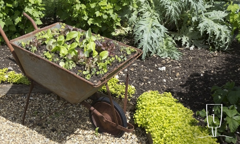 Dinamización de Huertos