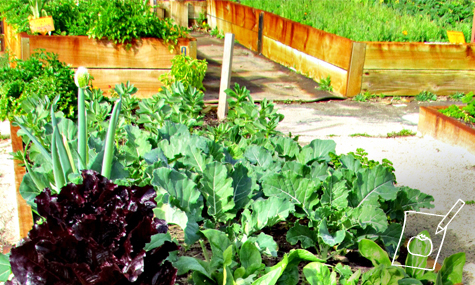 Diseño y Creación de Jardines