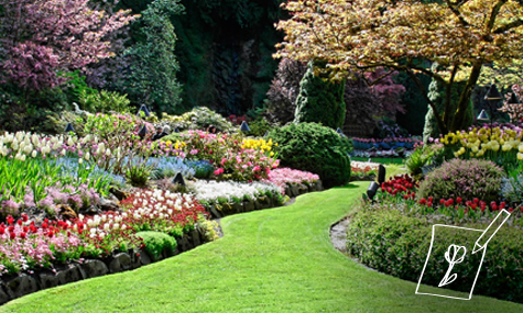 Diseño y Creación de Jardines