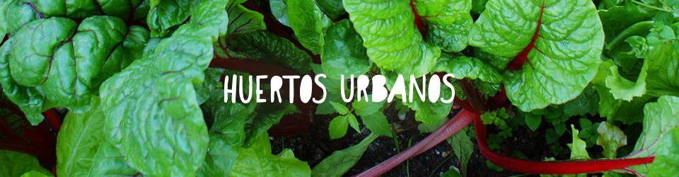 Huertos Urbanos en Madrid