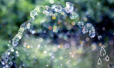 Instalación de Sistemas de Riego