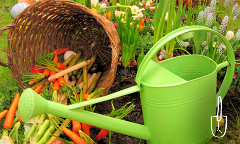 Mantenimiento de Huertos