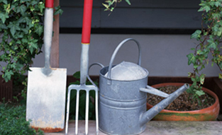 Mantenimiento de Jardines