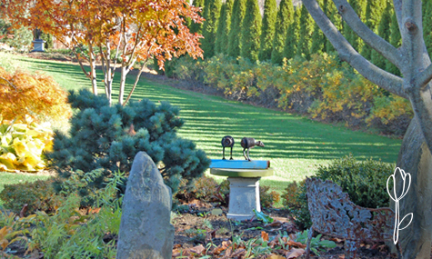 Renovaciones y Mejoras de Jardines