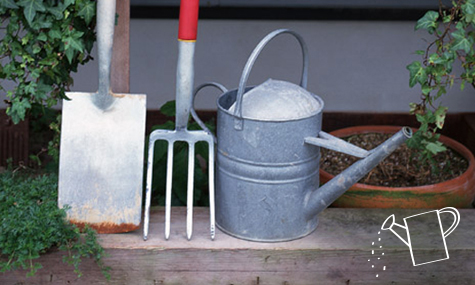 Mantenimiento de Jardines