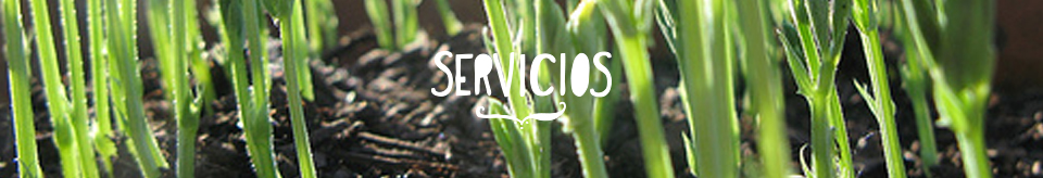 Servicios de Jardineria y Huertos Urbanos